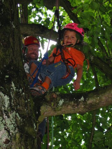 baumklettern1.jpg