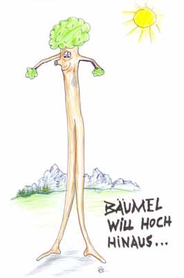 bumelwillhochhinaus.jpg